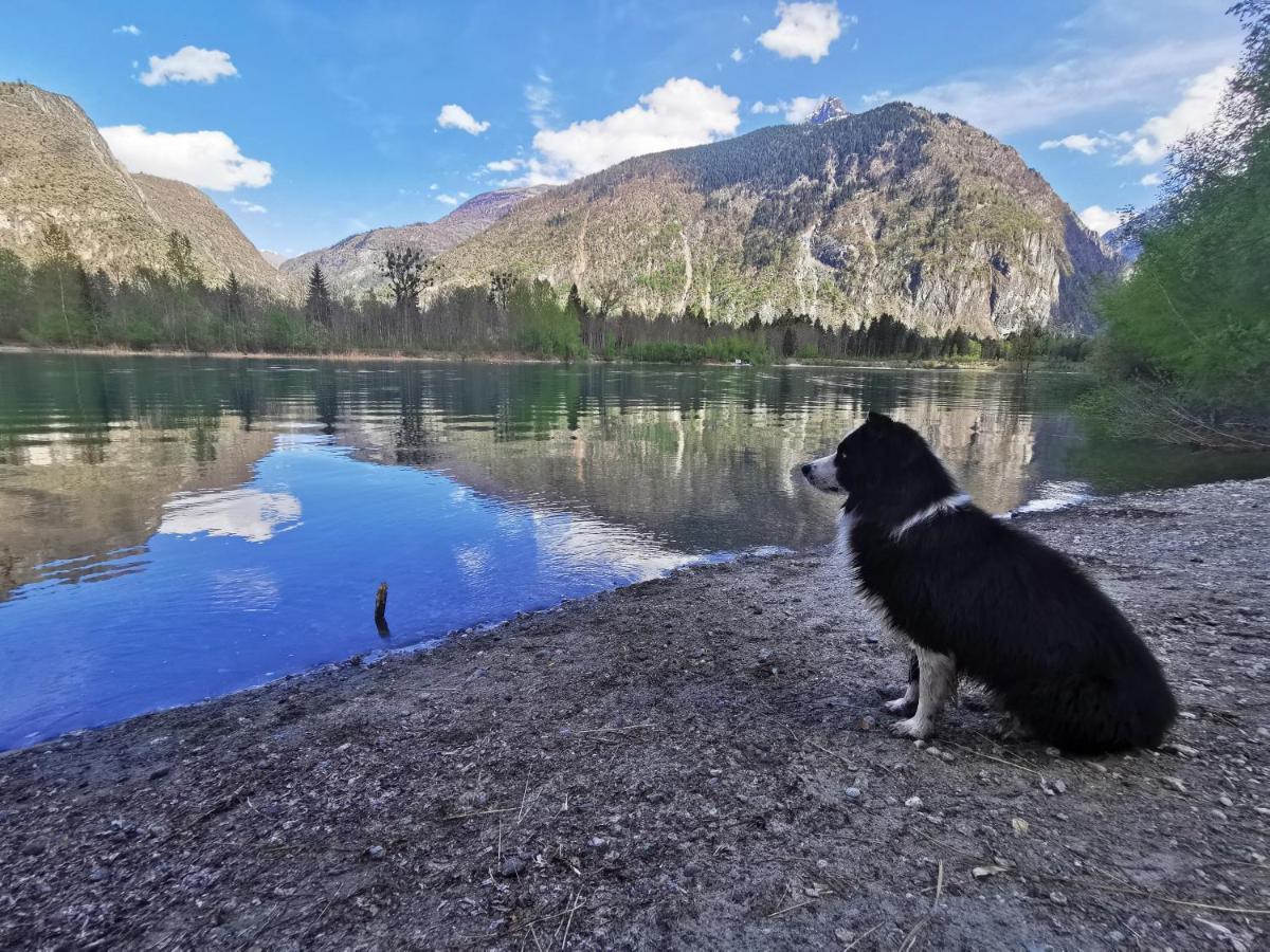 Un lac de montagne au miroir parfait, au calme