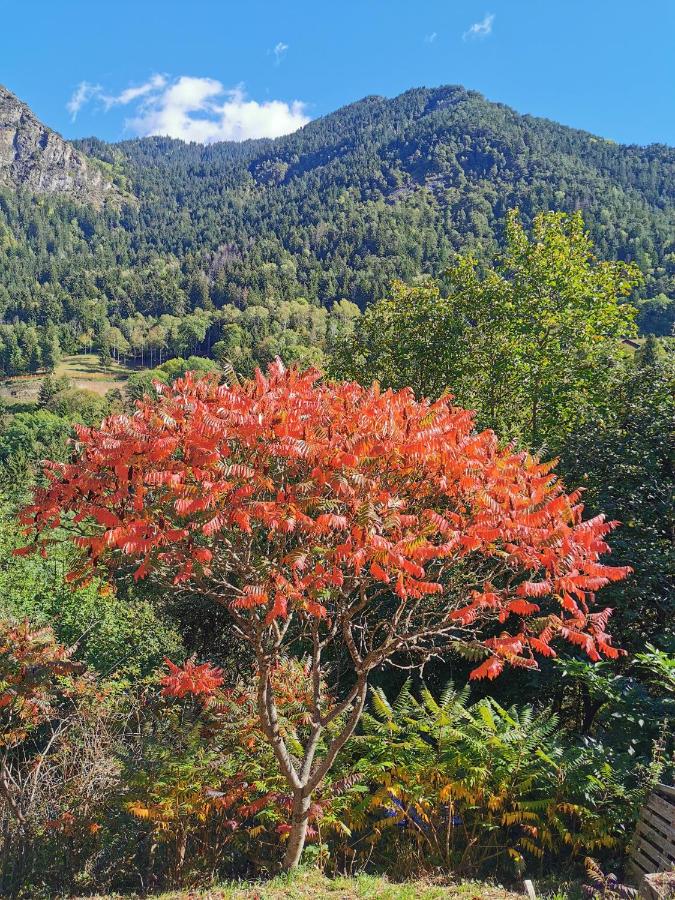 Les couleurs d'automne flamboyantes sur les massifs
