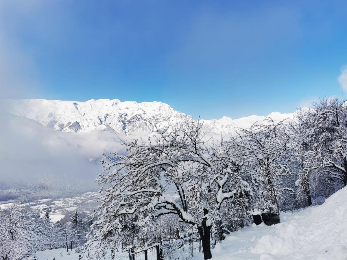 Les arbres chargés de neige autour de la maison en hiver