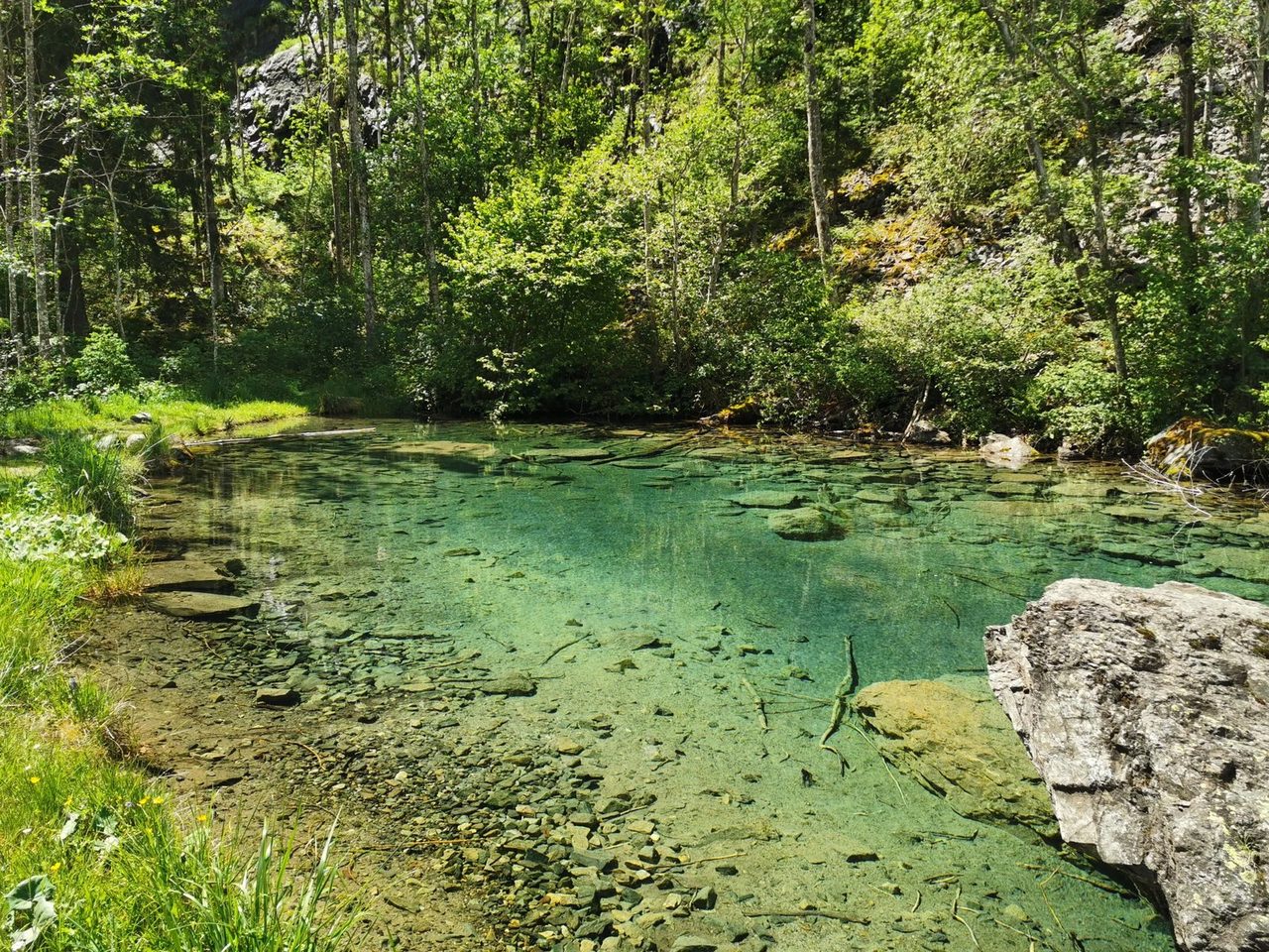 Un lac aux eaux turquoise et translucides au cœur des forêts de l'Oisans